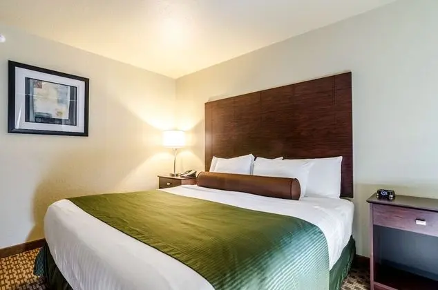 Room, 1 King Bed, Accessible Roll in Shower, Non Smoking