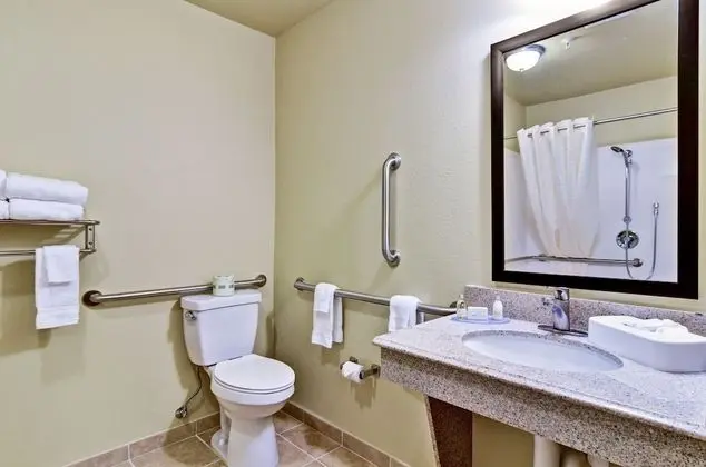 Room, 1 King Bed, Accessible Roll in Shower, Non Smoking