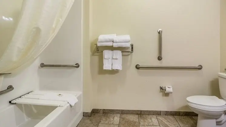 Room, 1 King Bed, Accessible Roll in Shower, Non Smoking
