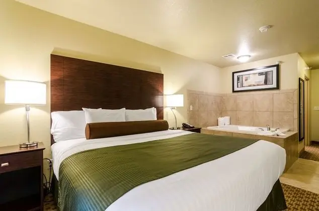 Room, 1 King Bed with Whirlpool, Non Smoking
