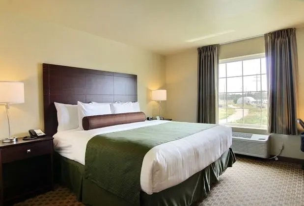 Room, 1 King Bed with Whirlpool, Non Smoking
