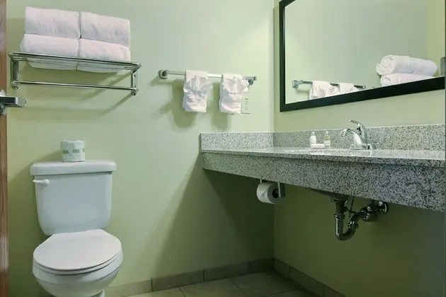 Room, 1 King Bed with Whirlpool, Non Smoking