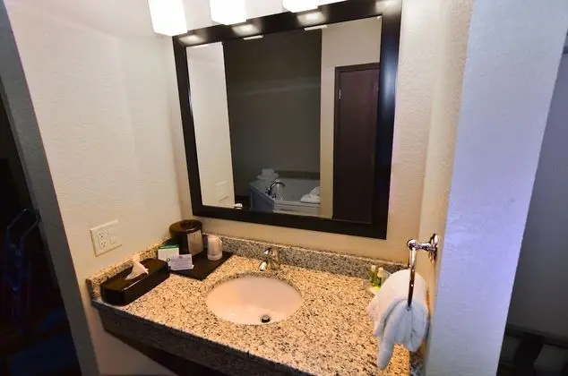 Oda, 1 En Büyük (King) Boy Yatak, Engellilere Uygun, Sigara İçilmez (Roll in Shower)