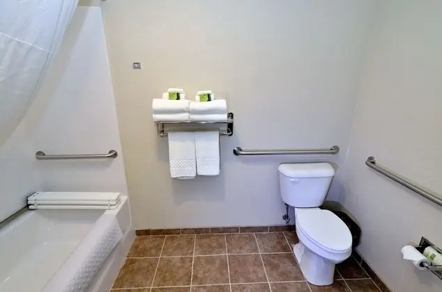 Oda, 1 En Büyük (King) Boy Yatak, Engellilere Uygun, Sigara İçilmez (Roll in Shower)