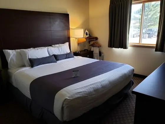 Oda, 1 En Büyük (King) Boy Yatak, Sigara İçilmez (Accessible Roll in Shower)