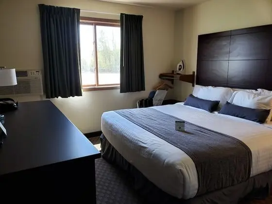 Oda, 1 En Büyük (King) Boy Yatak, Sigara İçilmez (Accessible Roll in Shower)