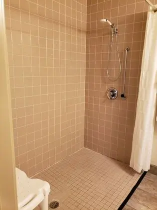 Oda, 1 En Büyük (King) Boy Yatak, Sigara İçilmez (Accessible Roll in Shower)