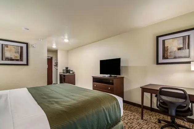 Oda, 1 En Büyük (King) Boy Yatak, Sigara İçilmez (Guestroom)