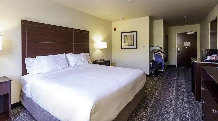 Oda, 1 En Büyük (King) Boy Yatak, Engellilere Uygun, Sigara İçilmez (Guestroom)