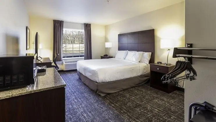 Oda, 1 En Büyük (King) Boy Yatak, Engellilere Uygun, Sigara İçilmez (Guestroom)