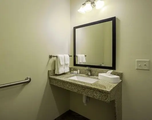 Oda, 1 En Büyük (King) Boy Yatak, Engellilere Uygun, Sigara İçilmez (Guestroom)