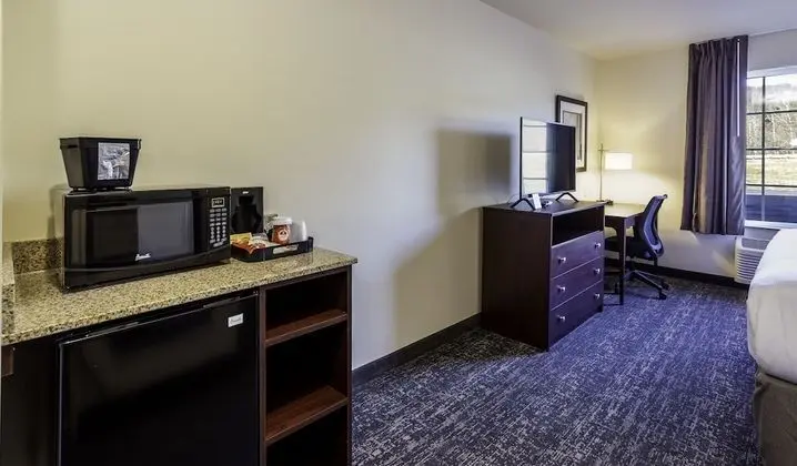 Oda, 1 En Büyük (King) Boy Yatak, Sigara İçilmez (Guestroom)