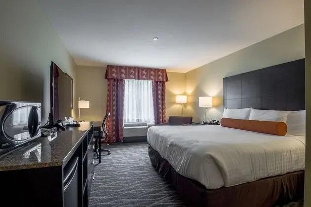 Deluxe Oda, 1 En Büyük (King) Boy Yatak, Sigara İçilmez (Guestroom)