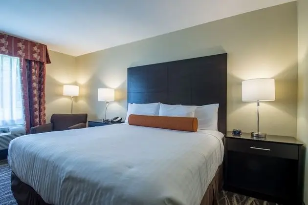 Deluxe Oda, 1 En Büyük (King) Boy Yatak, Sigara İçilmez (Guestroom)