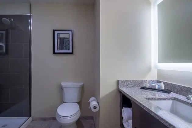 Deluxe Oda, 1 En Büyük (King) Boy Yatak, Sigara İçilmez (Guestroom)