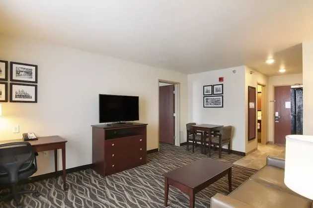 Süit, Birden Çok Yatak, Sigara İçilmez (Extended Stay)