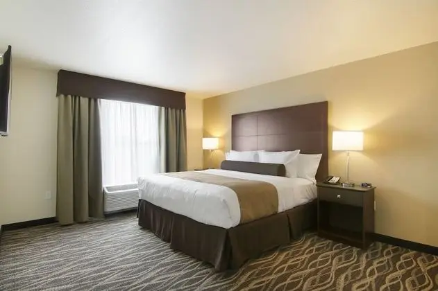 Süit, Birden Çok Yatak, Sigara İçilmez (Extended Stay)