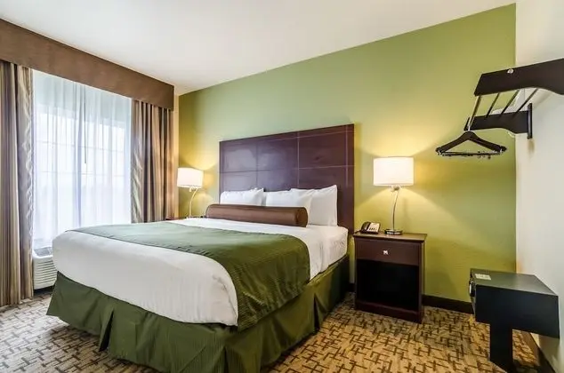 Süit, Birden Çok Yatak, Sigara İçilmez (Extended Stay)