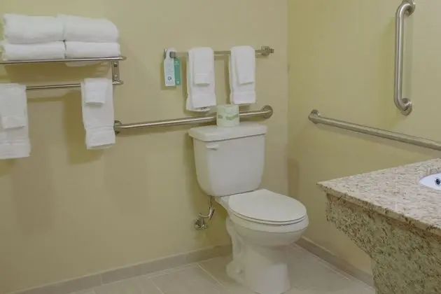 Süit, 1 En Büyük (King) Boy Yatak ve Çekyat, Sigara İçilmez (Extended Stay)