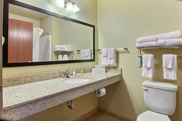 Süit, 1 En Büyük (King) Boy Yatak ve Çekyat, Sigara İçilmez (Extended Stay)