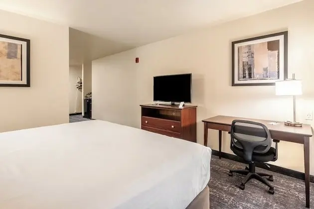 Studio, King Bed with Sofa Bed, Accessible Tub, Audible/Visual Alert, Non Smoking