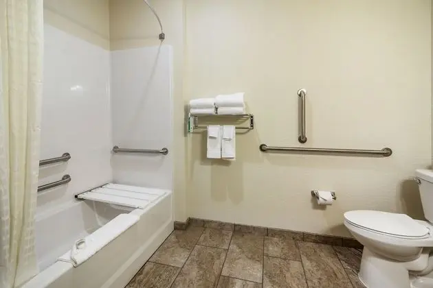 Studio, King Bed with Sofa Bed, Accessible Tub, Audible/Visual Alert, Non Smoking