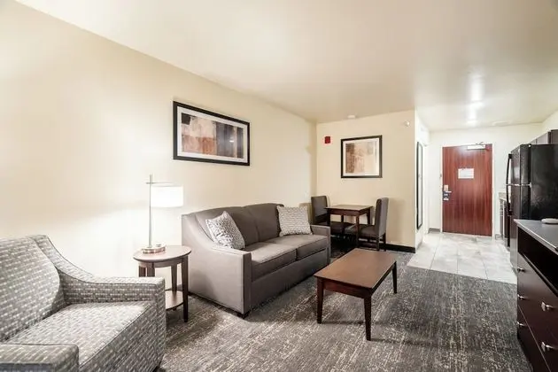 Suite, King Bed with Sofa Bed, Accessible Shower, Non Smoking