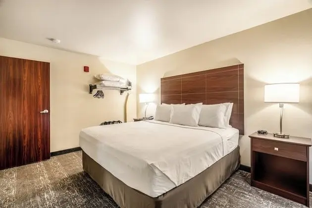Suite, King Bed with Sofa Bed, Accessible Shower, Non Smoking