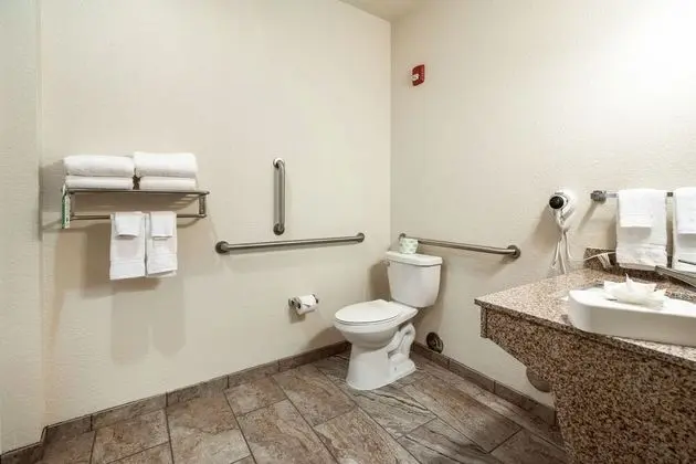 Suite, King Bed with Sofa Bed, Accessible Shower, Non Smoking