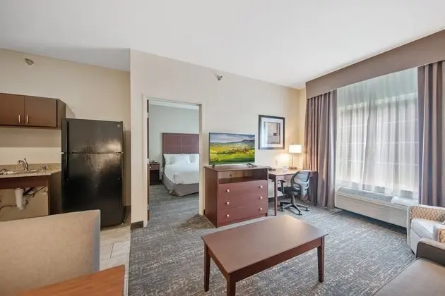 Süit, 1 En Büyük (King) Boy Yatak ve Çekyat, Sigara İçilmez (Extended Stay)