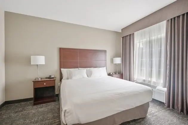 Süit, 1 En Büyük (King) Boy Yatak ve Çekyat, Sigara İçilmez (Extended Stay)