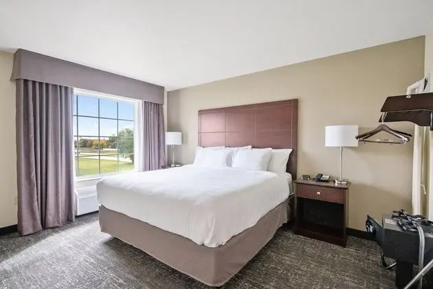 Süit, 1 En Büyük (King) Boy Yatak ve Çekyat, Sigara İçilmez (Extended Stay)