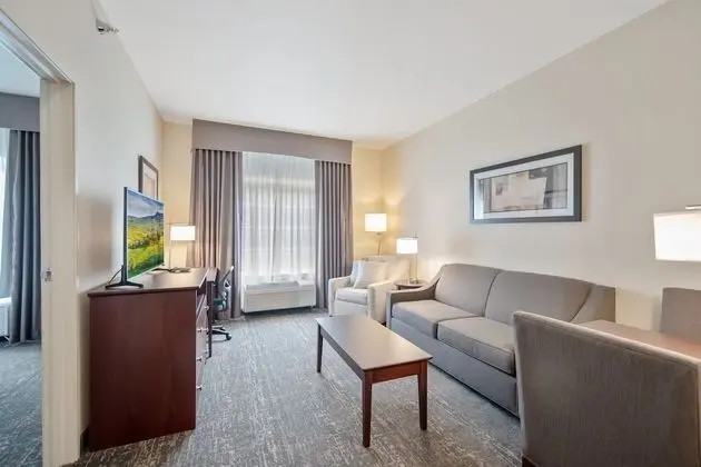 Süit, 1 En Büyük (King) Boy Yatak ve Çekyat, Sigara İçilmez (Extended Stay)