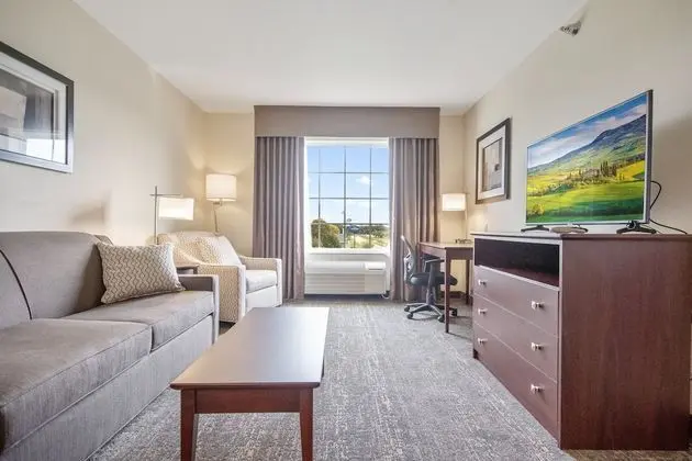 Süit, 1 En Büyük (King) Boy Yatak ve Çekyat, Sigara İçilmez (Extended Stay)