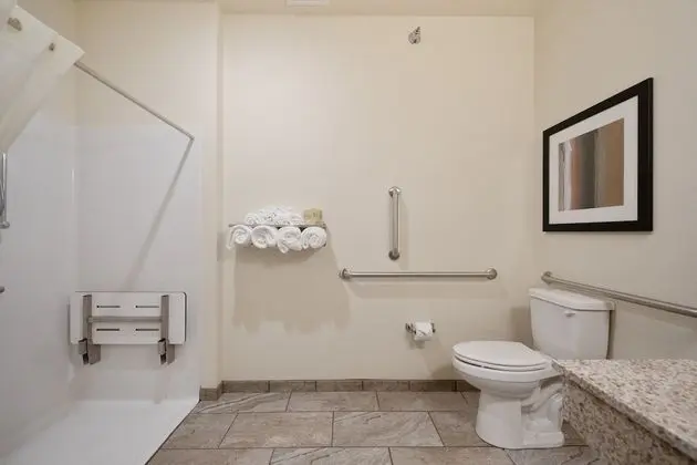 Süit, 1 En Büyük (King) Boy Yatak ve Çekyat, Sigara İçilmez (Extended Stay)