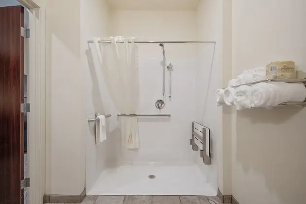 Süit, 1 En Büyük (King) Boy Yatak ve Çekyat, Sigara İçilmez (Extended Stay)