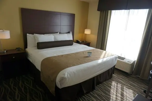 Süit, Birden Çok Yatak, Sigara İçilmez (Extended Stay King)