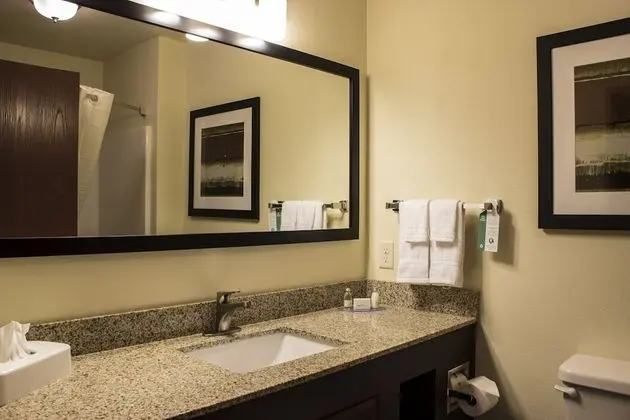 Süit, Birden Çok Yatak, Sigara İçilmez (Extended Stay King)