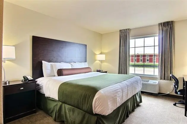 Room, 1 King Bed, Accessible Roll in Shower, Non Smoking