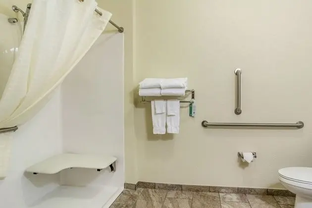 Room, 1 King Bed, Accessible Roll in Shower, Non Smoking