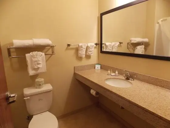 Suite, 1 King bed with Whirlpool, Non Smoking