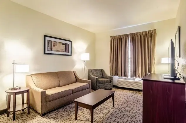Süit, 1 En Büyük (King) Boy Yatak, Sigara İçilmez (Extended Stay)