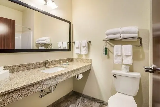 Süit, 1 En Büyük (King) Boy Yatak, Sigara İçilmez (Extended Stay)