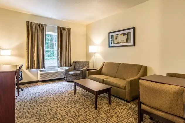 Süit, 1 En Büyük (King) Boy Yatak, Sigara İçilmez (Extended Stay)