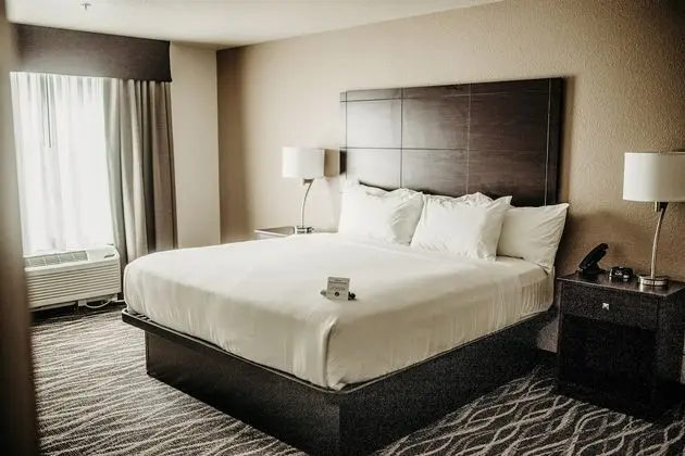 Room, 1 King Bed, Accessible with Audible/Visual Alert, Non Smoking