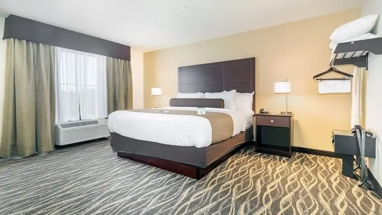 Süit, 1 En Büyük (King) Boy Yatak ve Çekyat, Sigara İçilmez (Extended Stay)