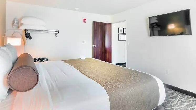 Süit, 1 En Büyük (King) Boy Yatak ve Çekyat, Sigara İçilmez (Extended Stay)