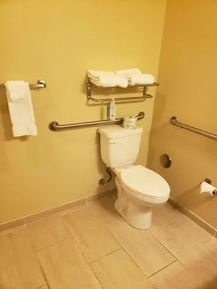 Oda, 1 En Büyük (King) Boy Yatak, Sigara İçilmez (Accessible Benched Tub)
