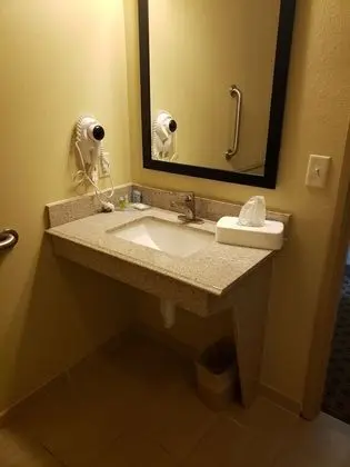 Oda, 1 En Büyük (King) Boy Yatak, Sigara İçilmez (Accessible Benched Tub)