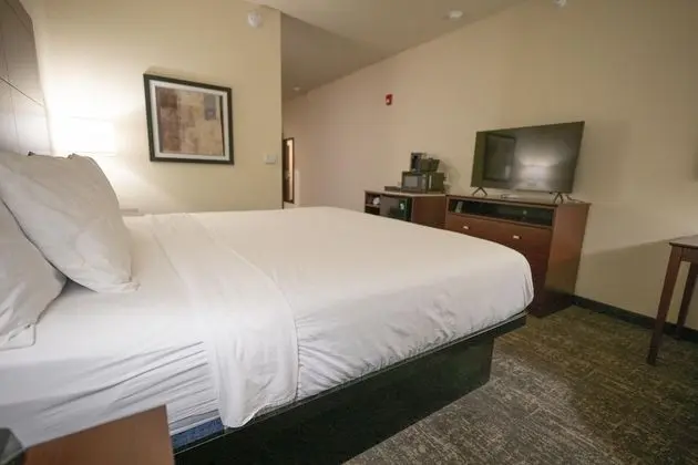 Oda, 1 En Büyük (King) Boy Yatak, Engellilere Uygun, Sigara İçilmez (Guestroom)